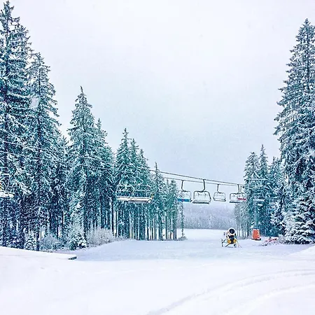 Promenada Lipno Rent *