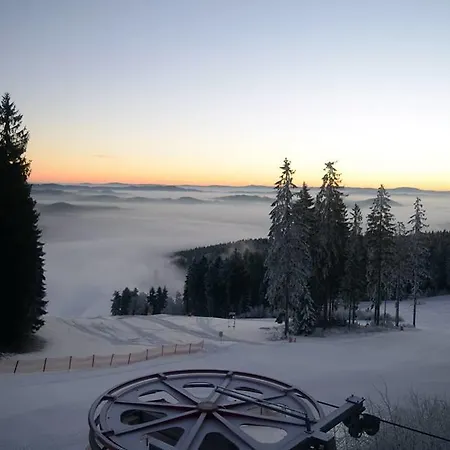 Apartmán Promenada Lipno Rent *
